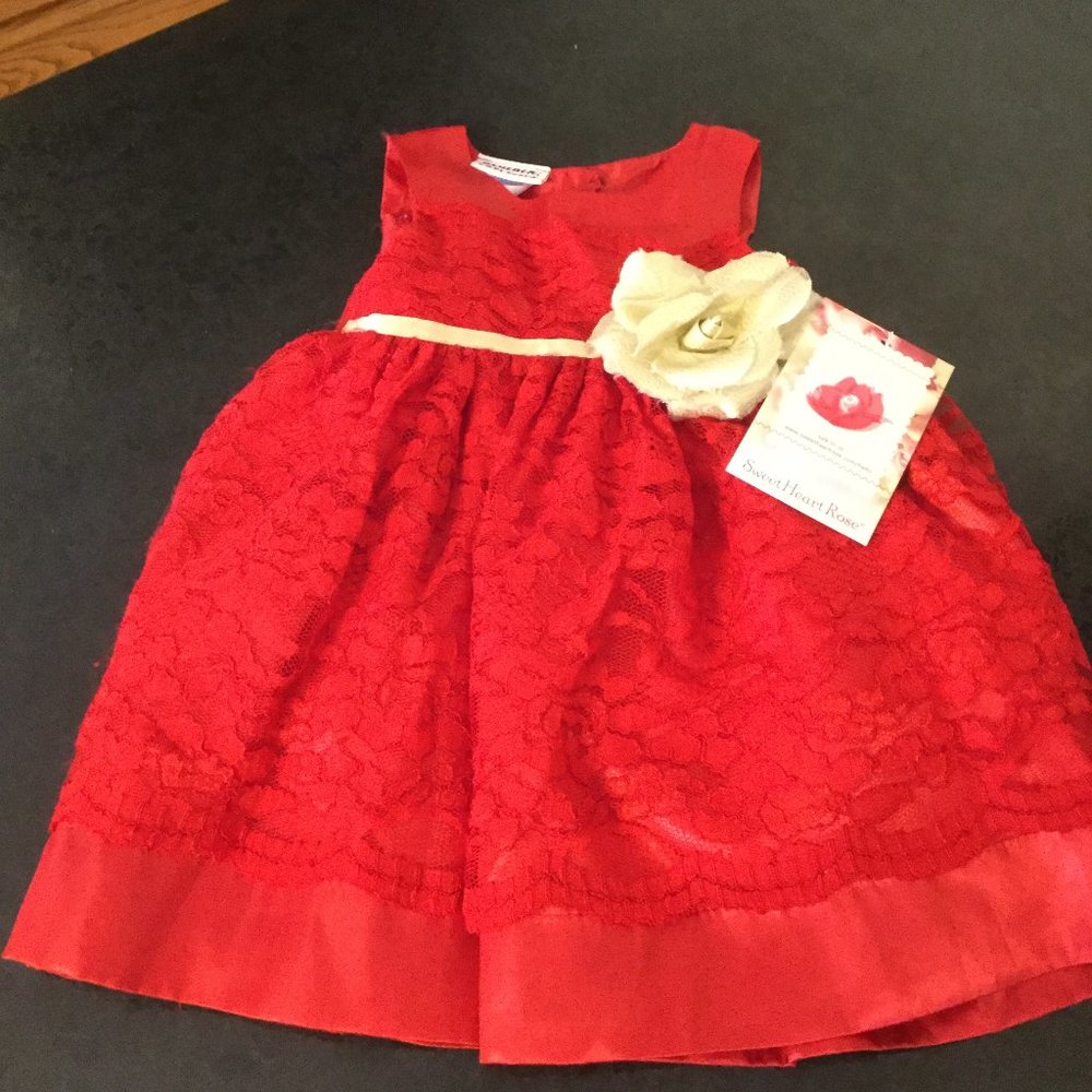 Great Valentines Day NWT Blueber baby dress